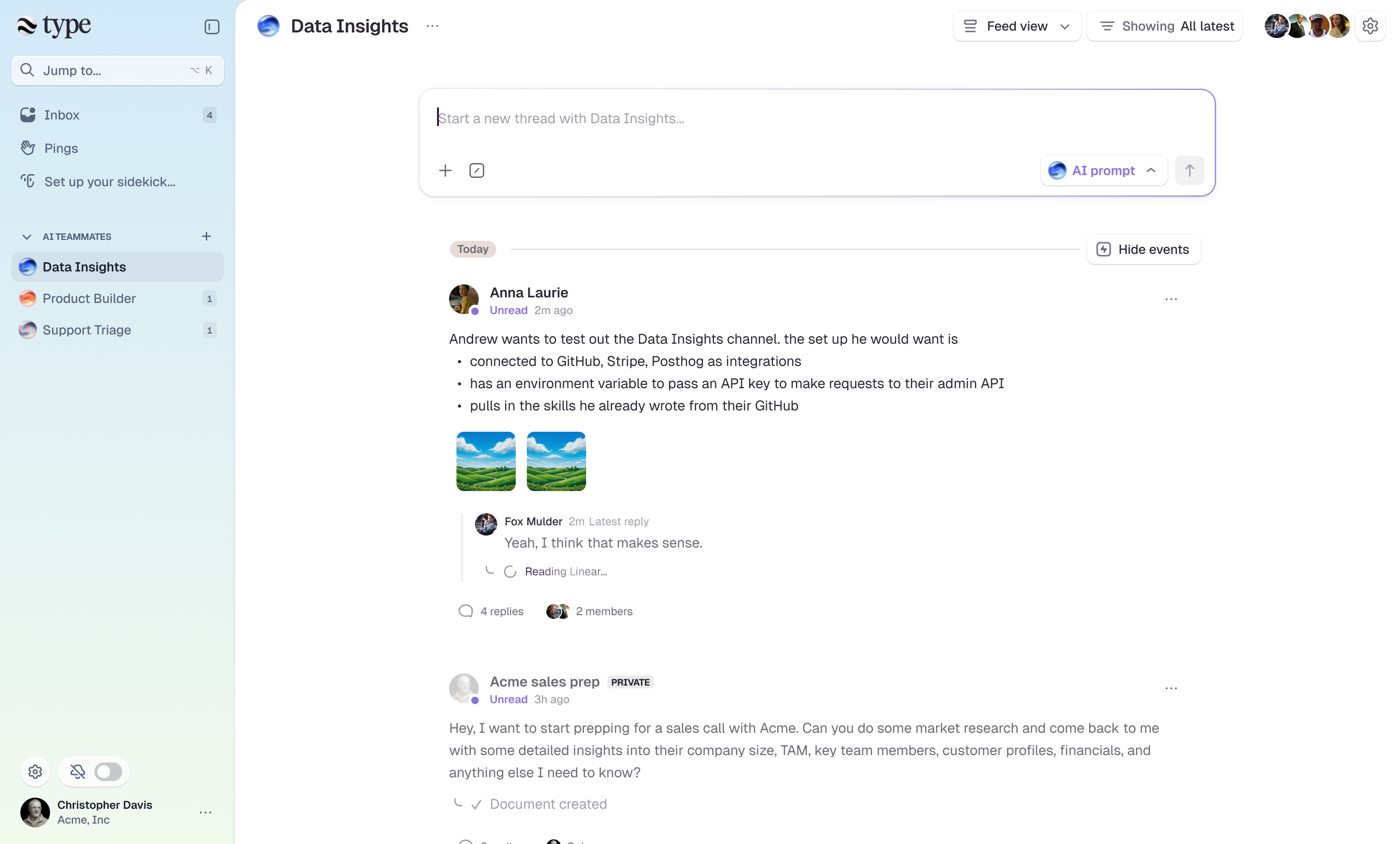 The Type workspace running in a browser with Data Insights, Product Builder, and Support Triage listed as AI teammates in the sidebar