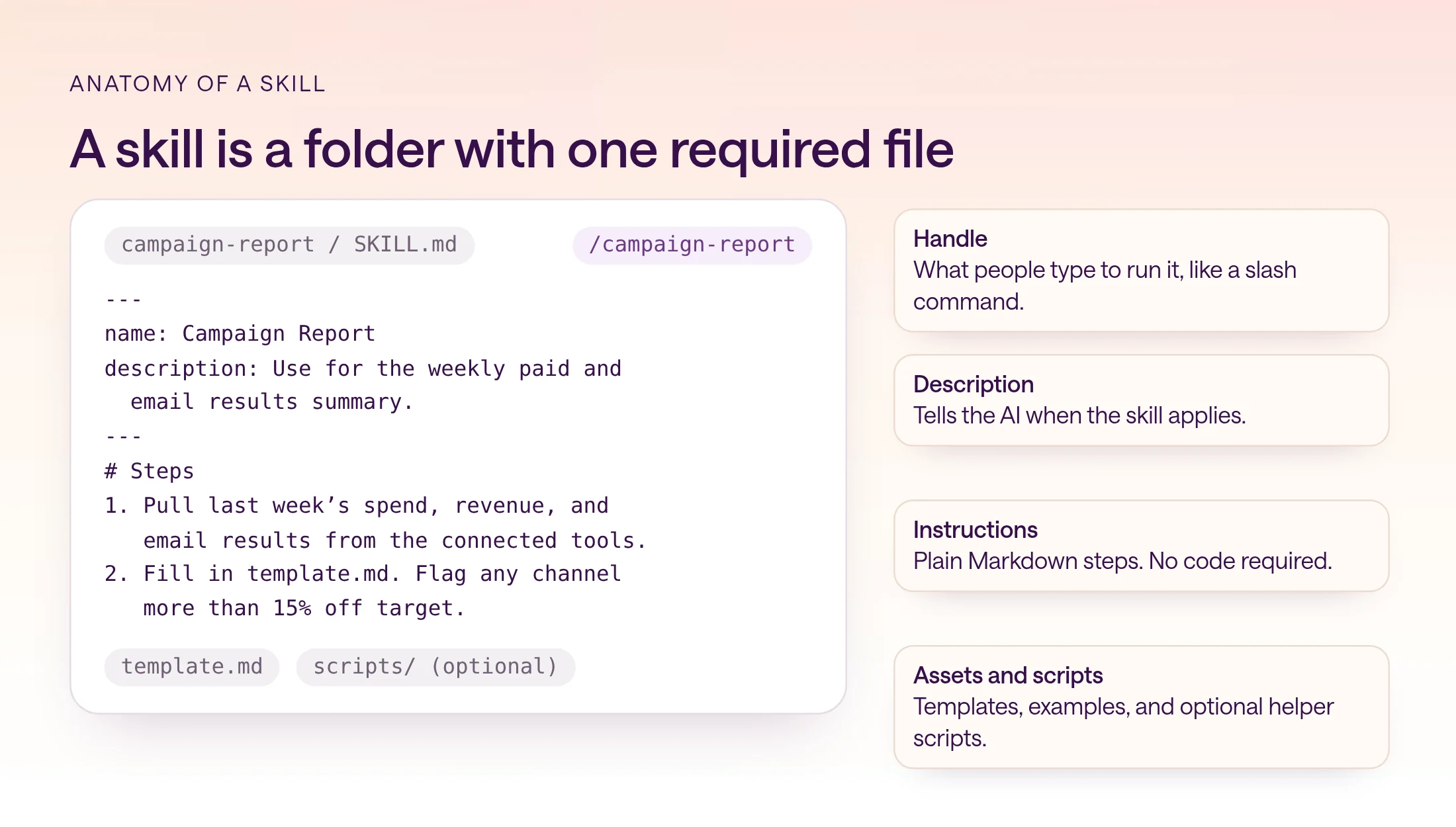 A Campaign Report SKILL.md file with a name, a description, and two numbered steps, plus template.md and an optional scripts folder. Callouts explain the handle, the description, the plain Markdown instructions, and the assets and scripts.